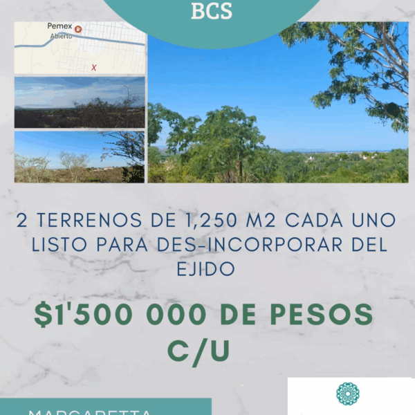 2 Terrenos en La Ribera