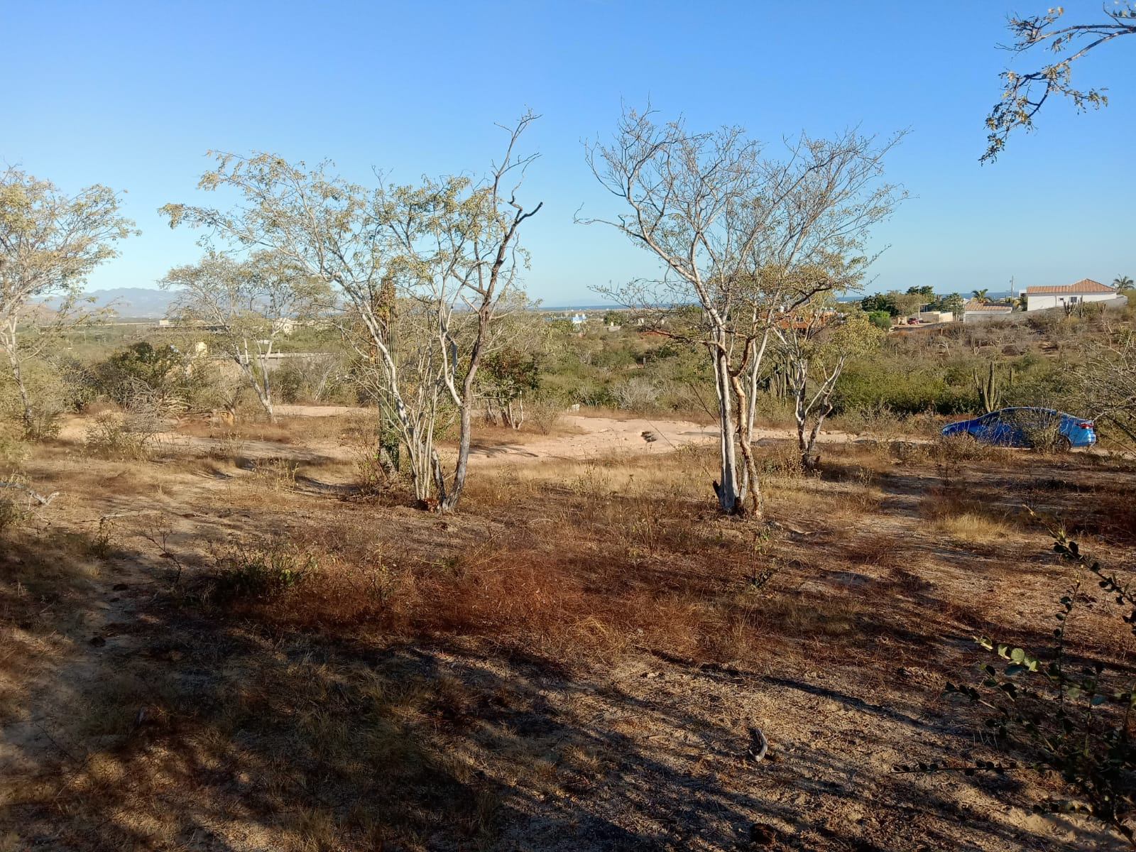 2-terrenos-en-la-ribera-06