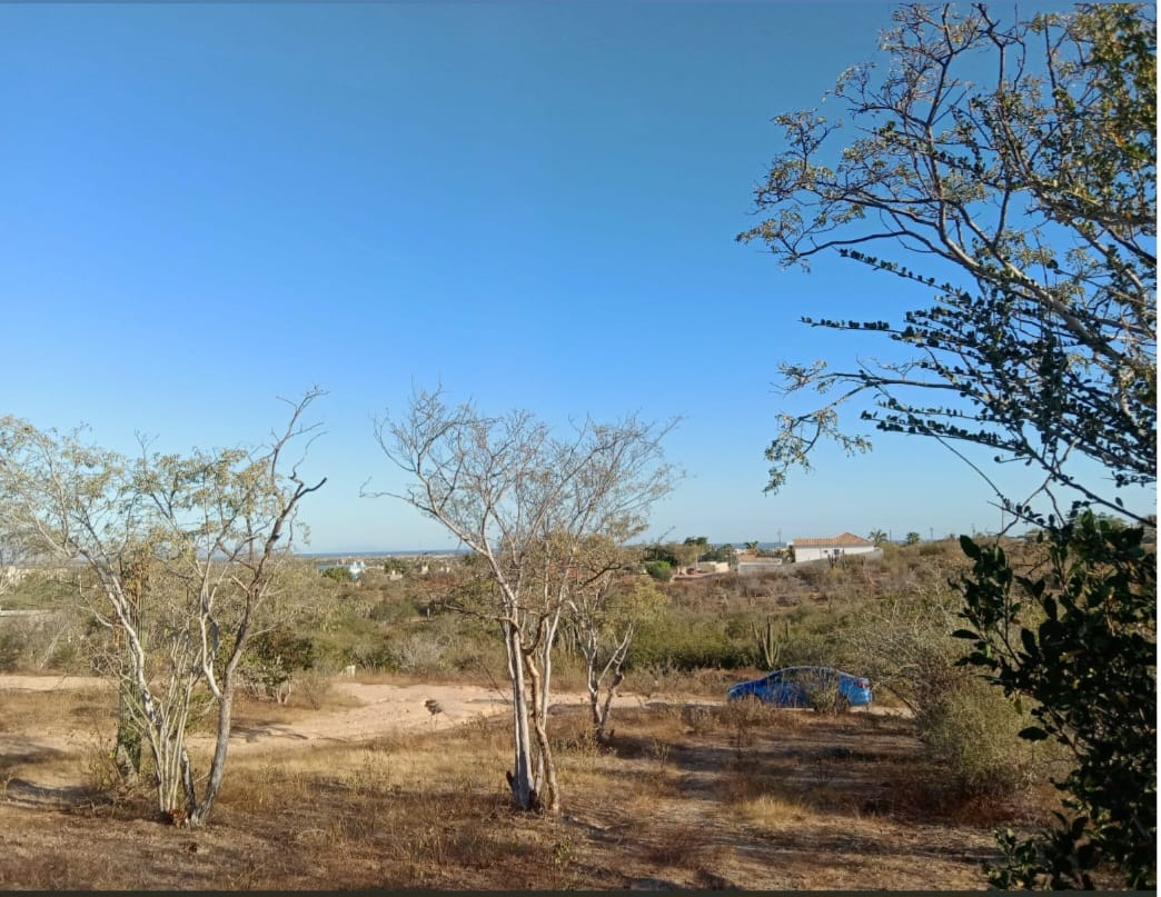 2-terrenos-en-la-ribera-10