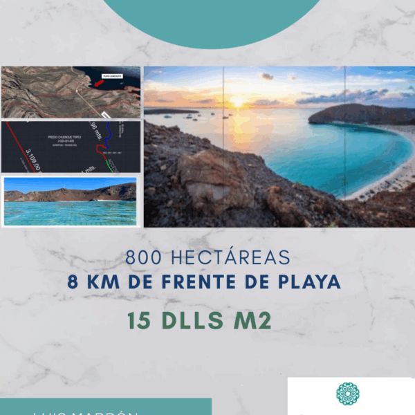 El Juncalito Chunque Tripuí