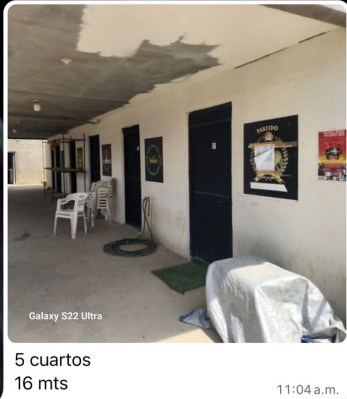 palenque-recundami-02