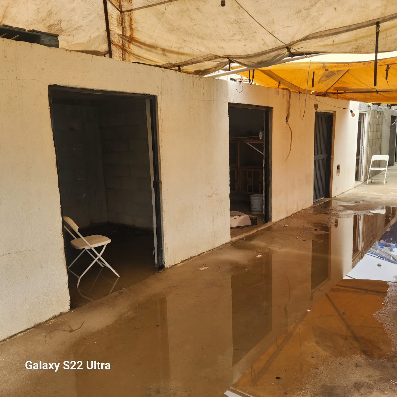 palenque-recundami-06