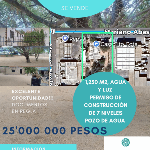 Terreno de Calle Abasolo