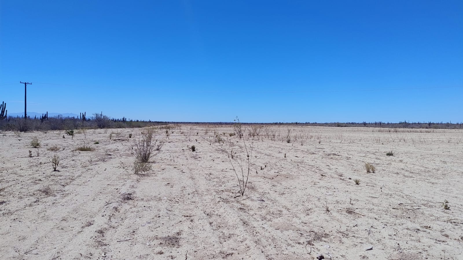 terreno-en-el-centenario-02