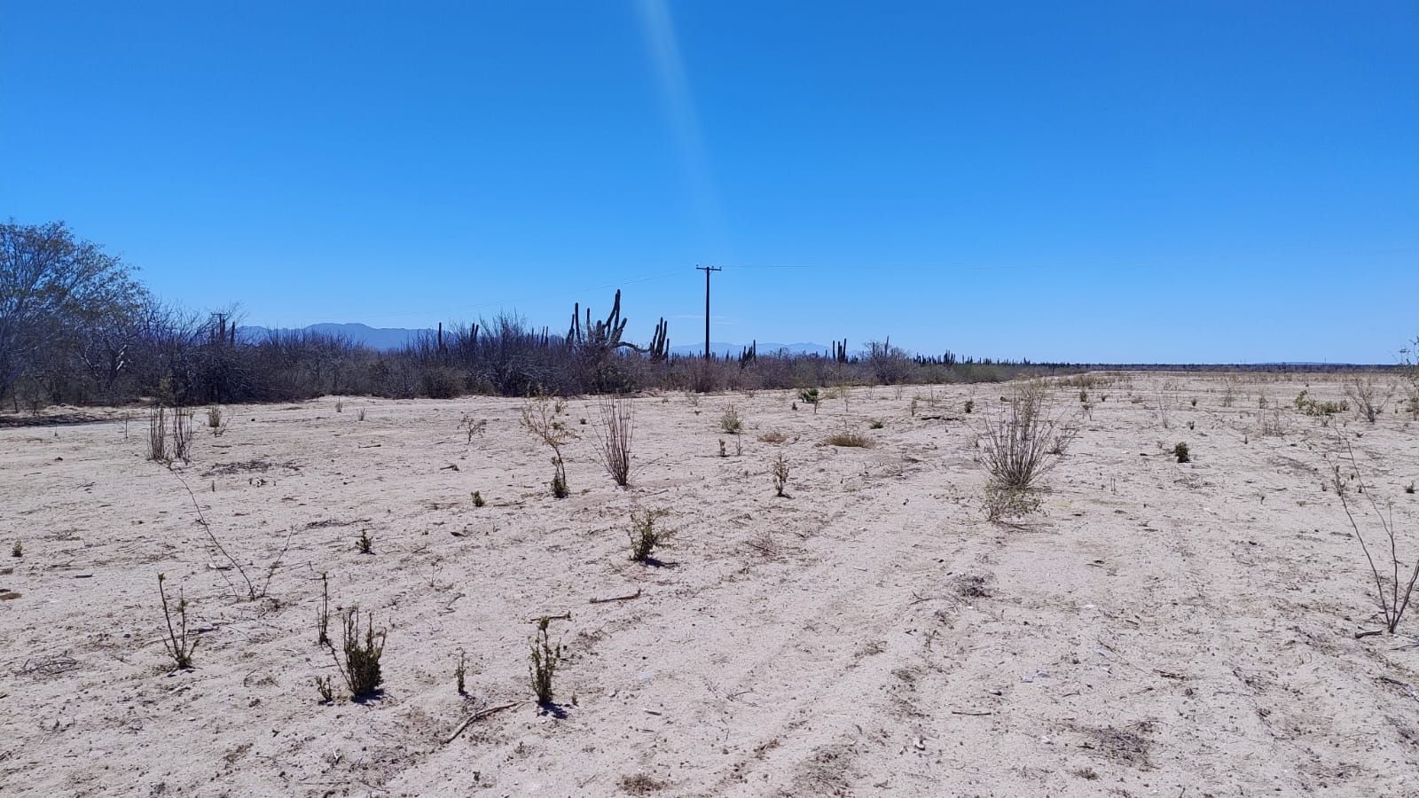 terreno-en-el-centenario-03