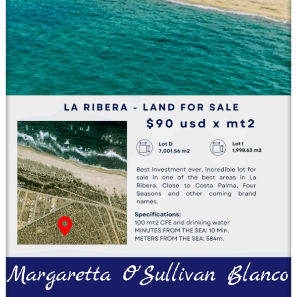 Terreno Palmas y Resurgideros