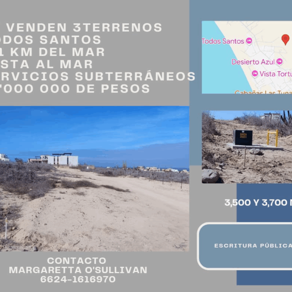 Terrenos Todos Santos